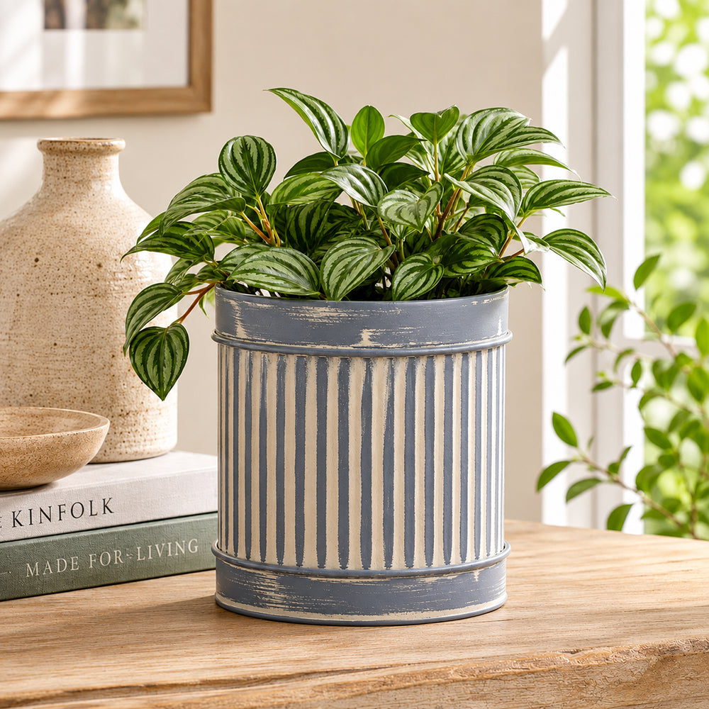 Grey Metal Table Planter For Indoor Plants And Flowers For Home And Office