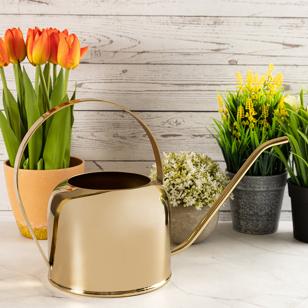 Multipurpose Gold Water Can For Garden, Indoor And Outdoor Plants And Flowers