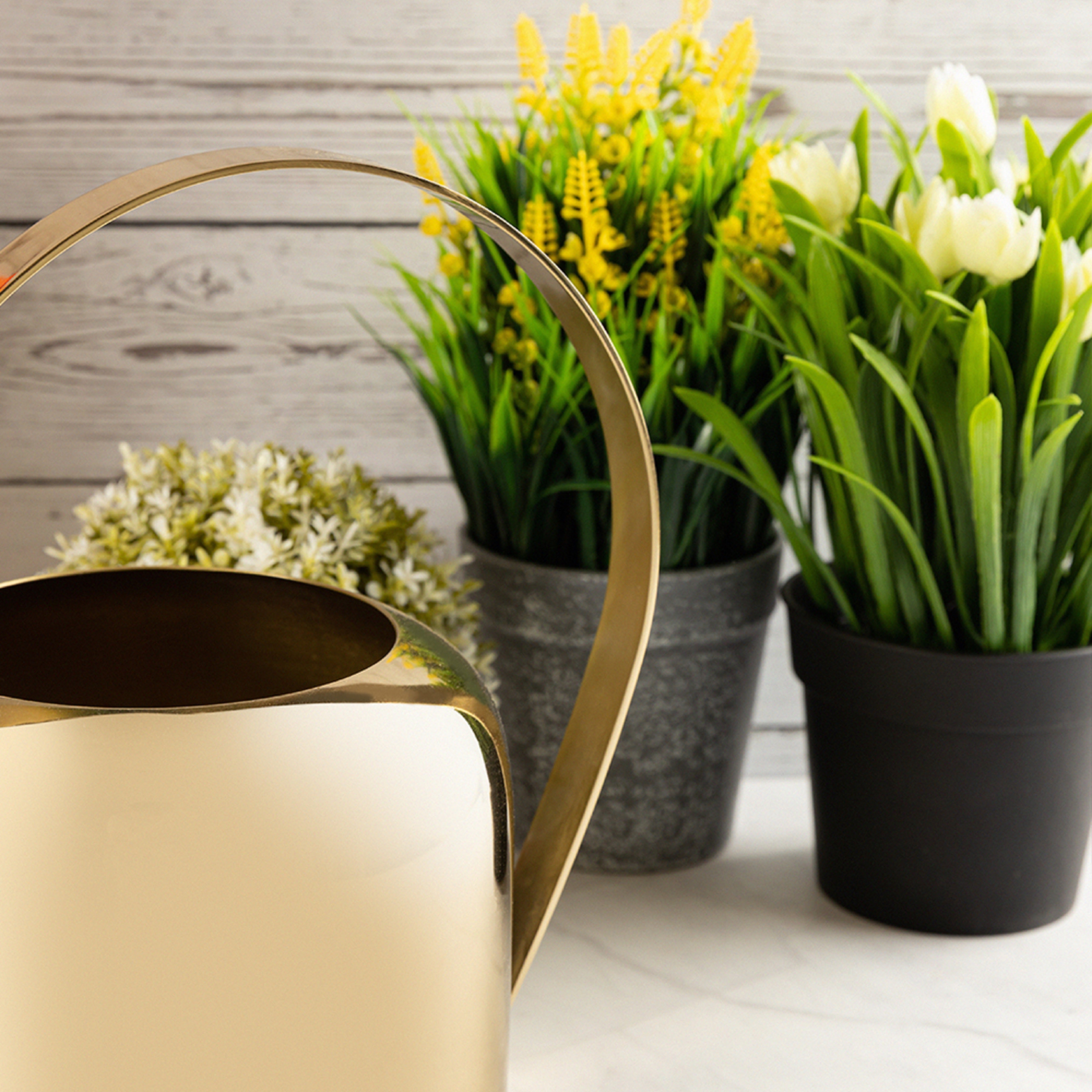 Multipurpose Water Can For Garden, Indoor And Outdoor Plants And Flowers