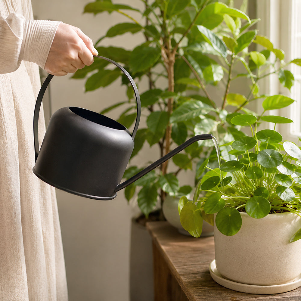 Multipurpose Gold Water Can For Garden, Indoor And Outdoor Plants And Flowers