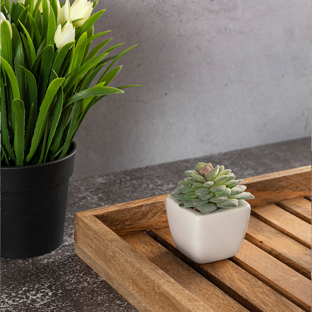 Brown Wooden Rectangular Serving And Decor Tray