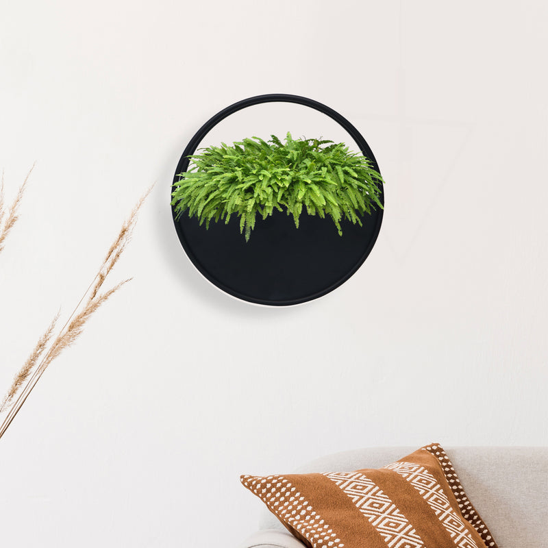 Wall Hanging Metal Planter For Home Decor, Living Room And Office