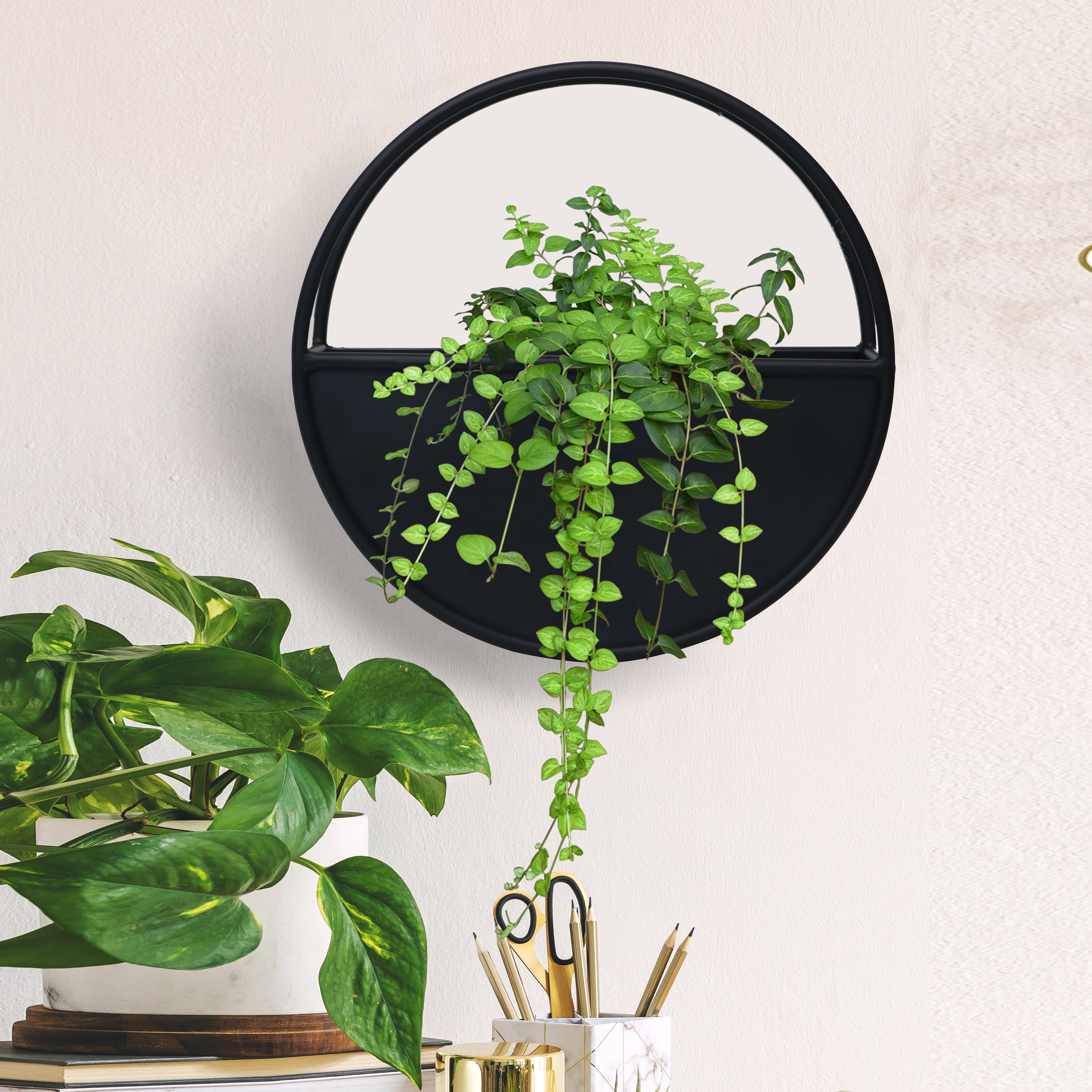 Wall Hanging Metal Planter For Home Decor, Living Room And Office