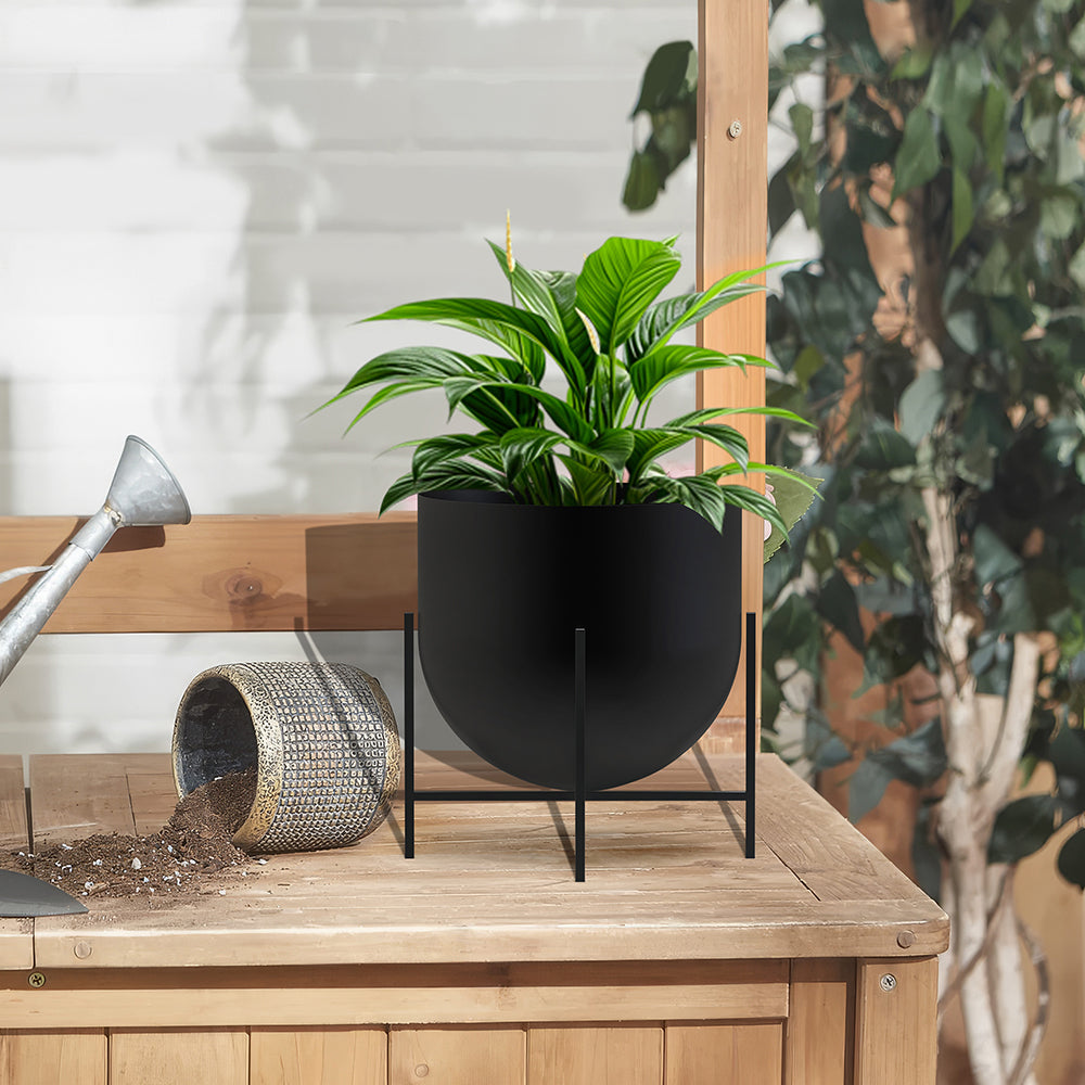 Iron Planter For Indoor And Outdoor Décor.
