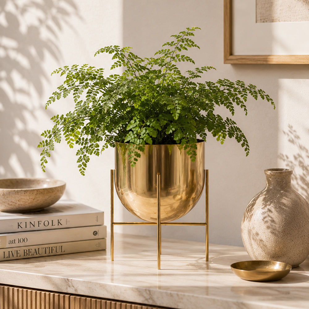 Iron Planter For Indoor And Outdoor Decor Large