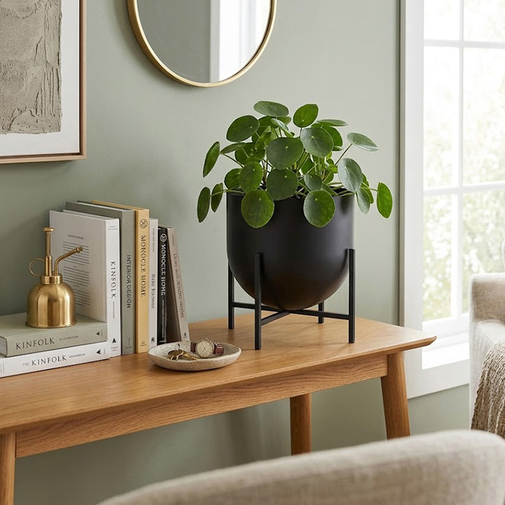 Iron Planter For Indoor And Outdoor Decor.