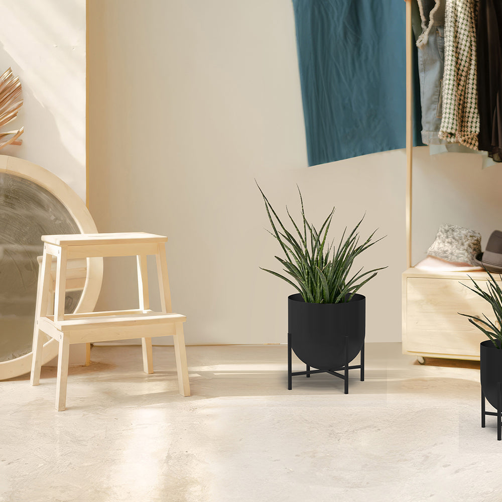 Iron Planter For Indoor And Outdoor Décor.