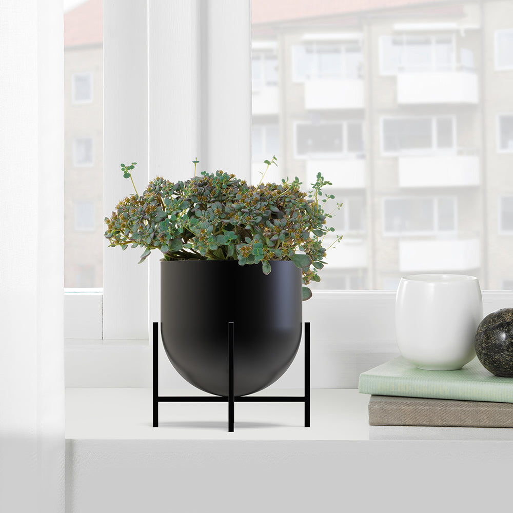 Iron Planter For Indoor And Outdoor Décor.