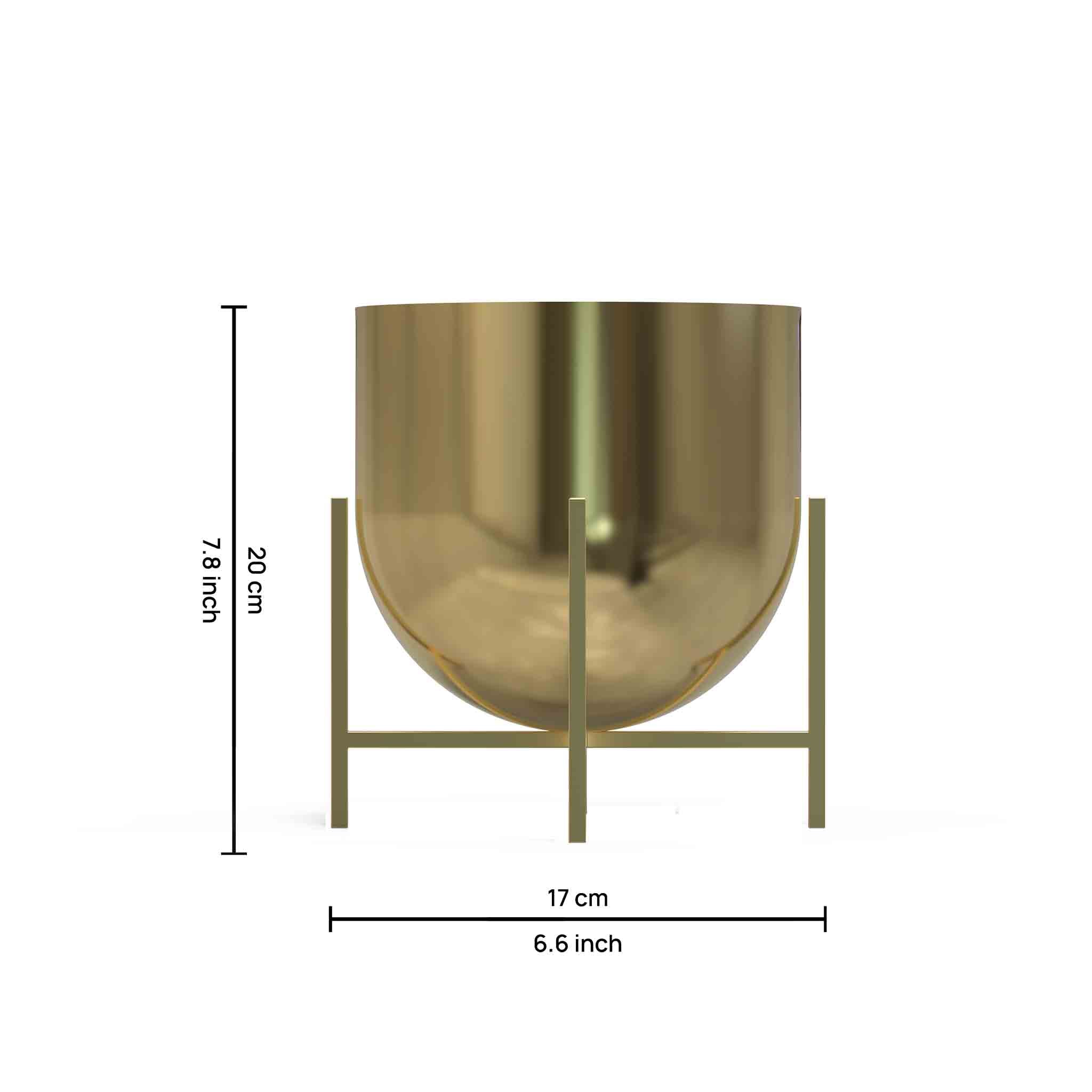 Iron Planter For Indoor And Outdoor Décor