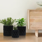 Pack of 3 Iron Planter Pot For Indoor And Outdoor Décor