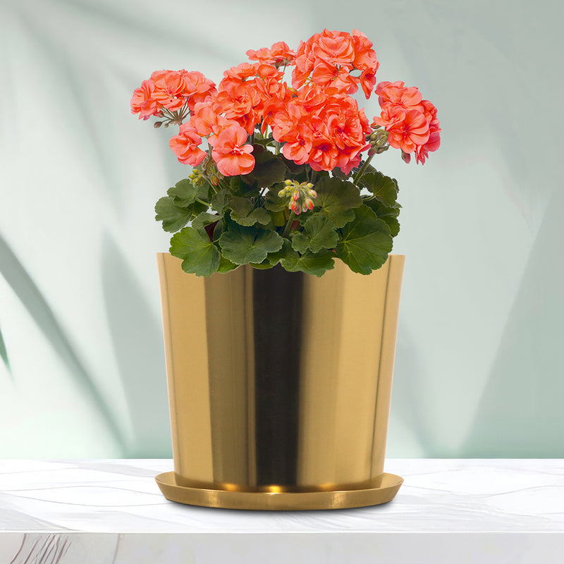 Tash Metal Planter, Large - Gold