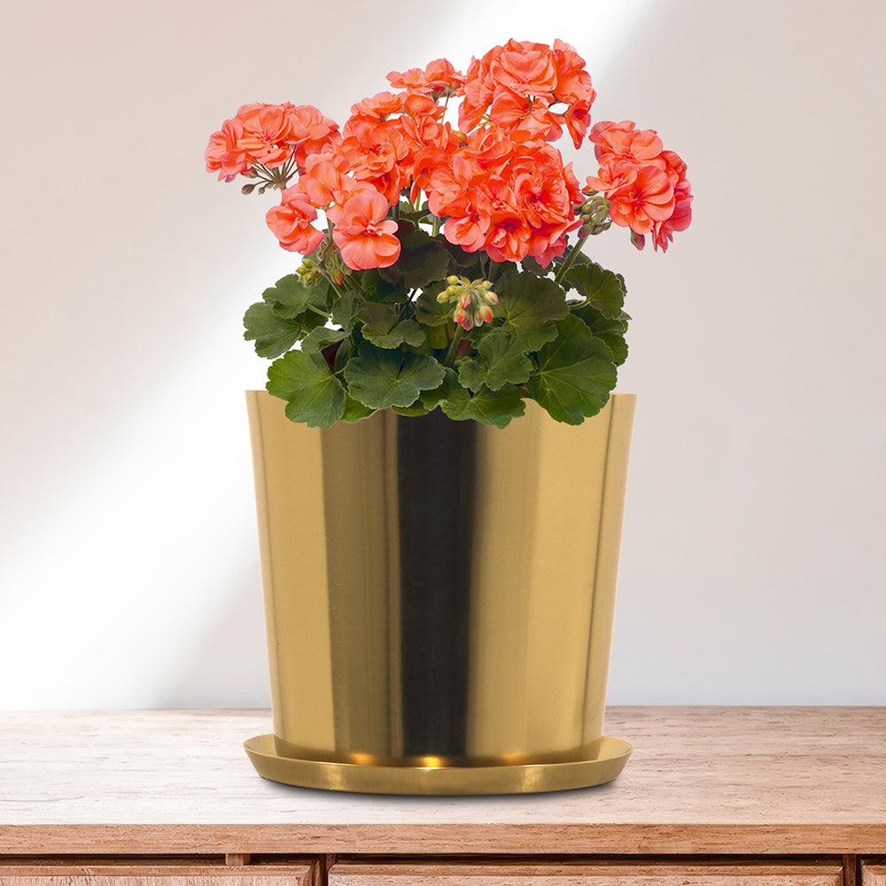 Metal Planters For Indoor / Outdoor Plants & Flowers