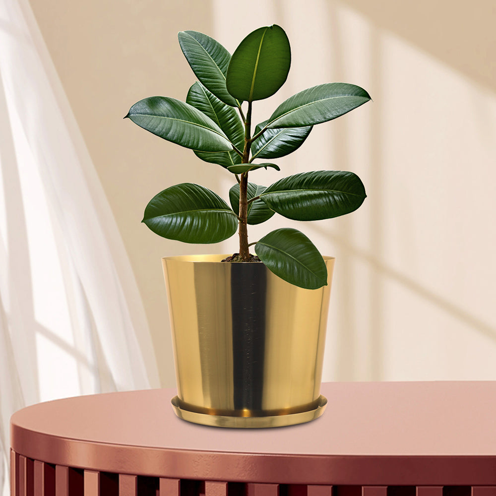 Metal Planters For Indoor / Outdoor Plants & Flowers