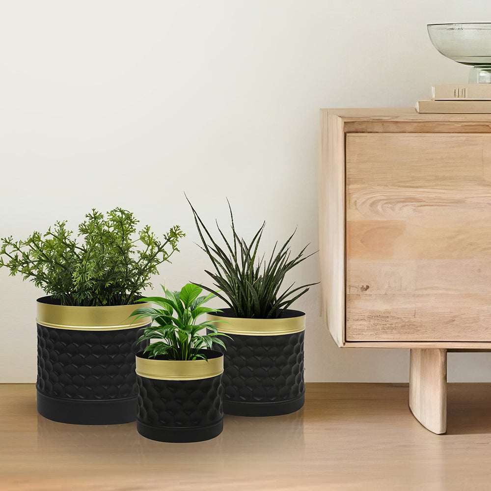 Pack of 3 Iron Planter Pot For Indoor And Outdoor Décor