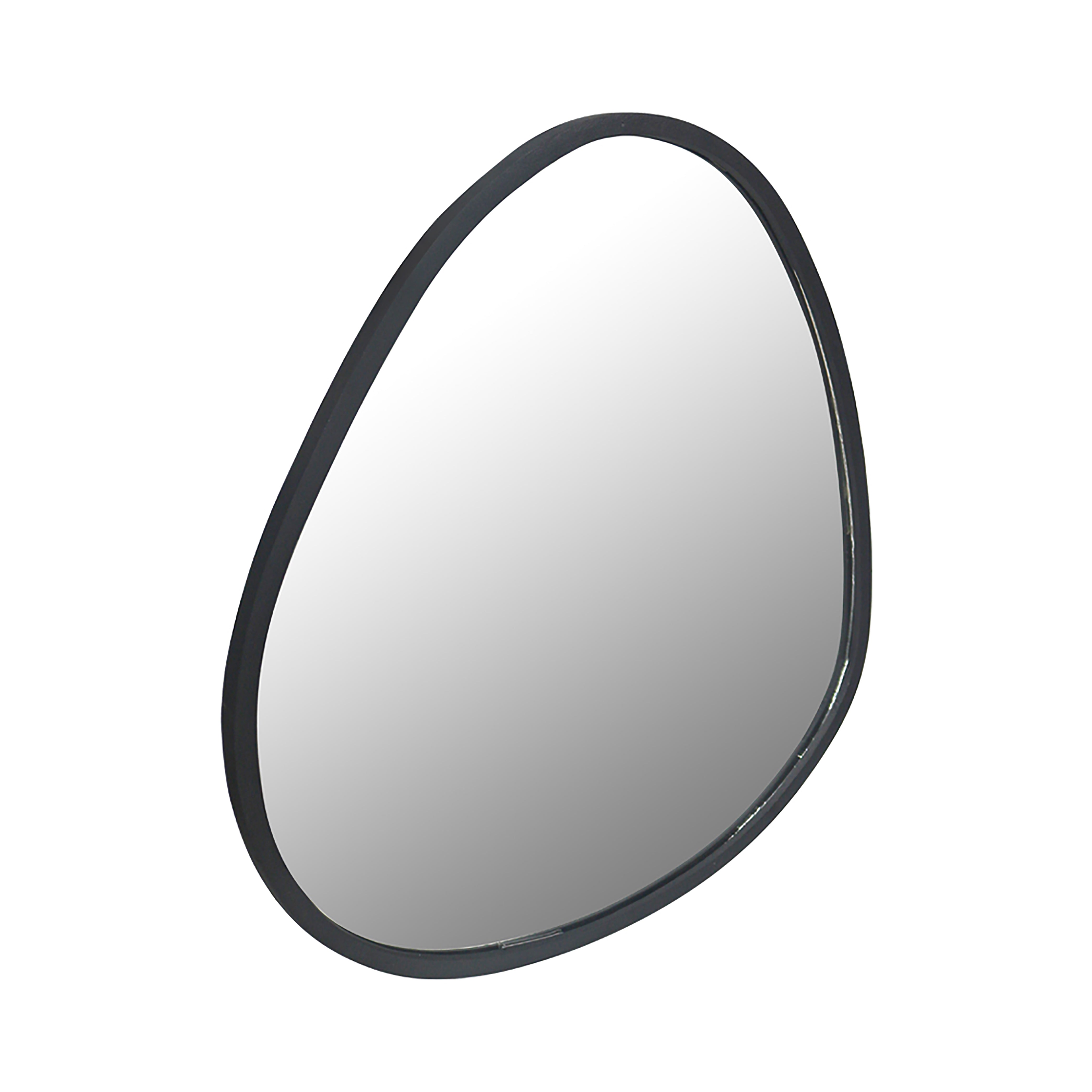 Metal Organic shape Wall Hanging Mirror, Black