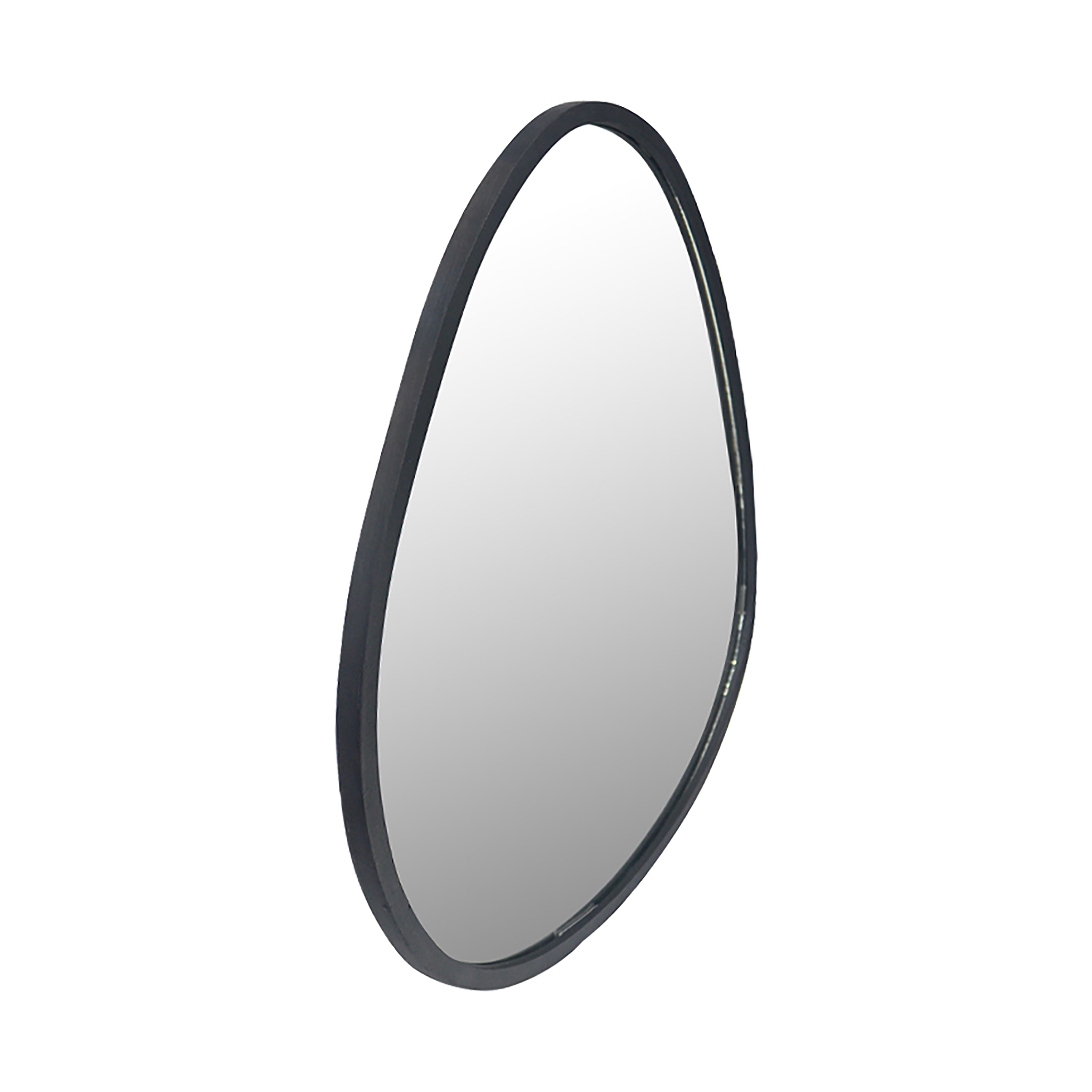 Metal Organic shape Wall Hanging Mirror, Black