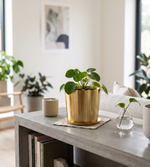 Tash Metal Planter, Medium - Gold