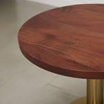 Ally Metal With Wooden Top  Side Table For Indoor, Outdoor, Home And Office, Gold