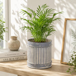 Grey Metal Table Planter For Indoor Plants And Flowers For Home And Office