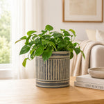 Grey Metal Table Planter For Indoor Plants And Flowers For Home And Office