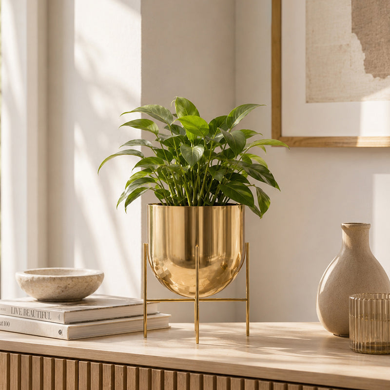 Linz Metal Planter, Large - Gold