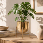 Iron Planter For Indoor And Outdoor Decor Large