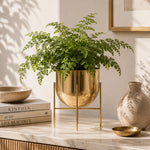 Iron Planter For Indoor And Outdoor Decor Large