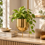 Iron Planter For Indoor And Outdoor Decor Large
