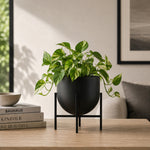 Iron Planter For Indoor And Outdoor Decor.
