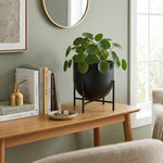 Iron Planter For Indoor And Outdoor Decor.