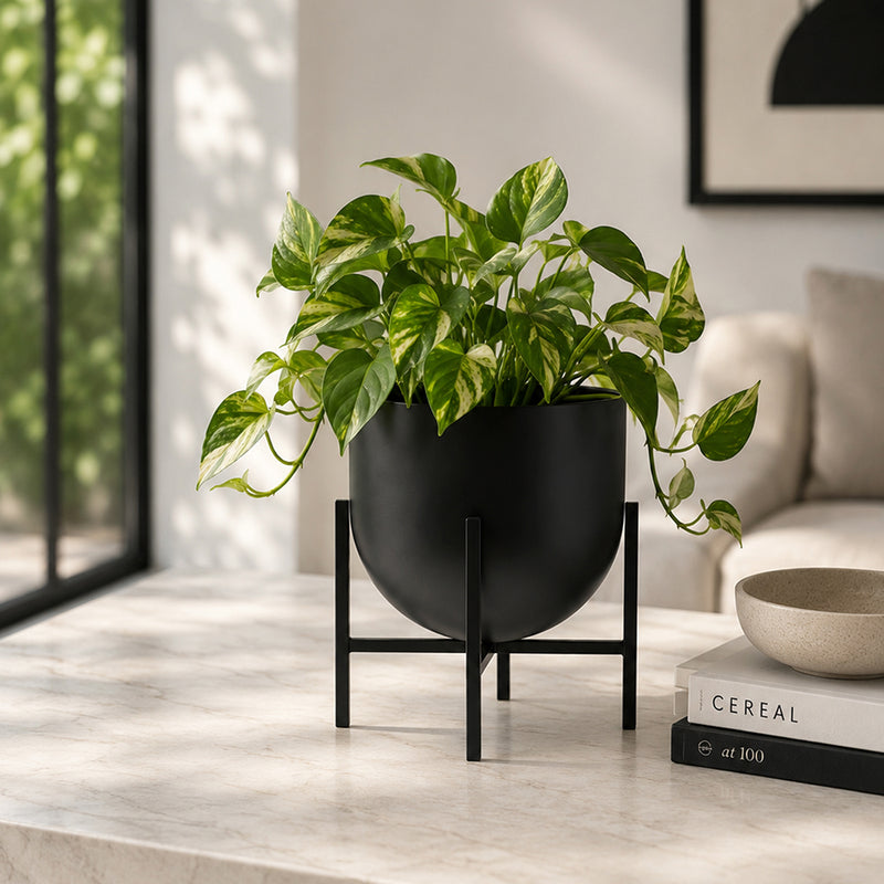 Linz Metal Planter, Small - Black