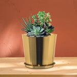 Planters For Indoor / Outdoor Plants & Flowers