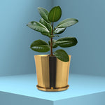 Planters For Indoor / Outdoor Plants & Flowers