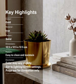 Tash Metal Planter, Small - Gold