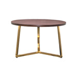 Trexo Wooden Coffee Table - Walnut
